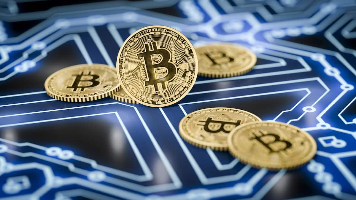 Bitcoin Zyklen Lassen Frostigen Krypto Winter Befürchten Cash 5011