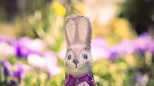 Vorsorge fürs Osternest: Acht internationale Dividendenaktien für unsichere Zeiten Schoko-Osterhase vor Blumenbeet.