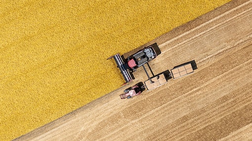 Portfolio für unsichere Zeiten Vontobel