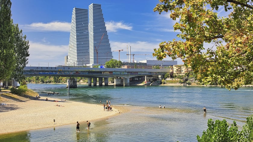 Kursstärke bei Roche und Novartis bringt Profis an den Rand der Verzweiflung Blick auf den Hauptsitz von Roche in Basel, im Vordergrund das Naherholungsgebiet Birsköpfli.