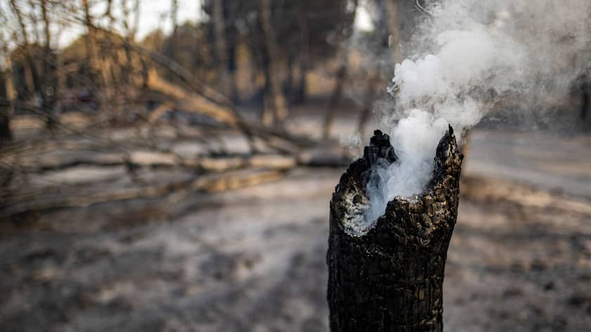 Waldbrände und Hitze beeinflussen Anleger zunehmend Ein Waldbrand in den Pyrenäen.