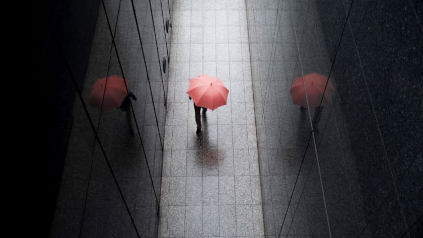 Umbrüche im Technologiesektor nutzen – selektiv und kapitalgeschützt High Angle View Of Person Holding Red Umbrella