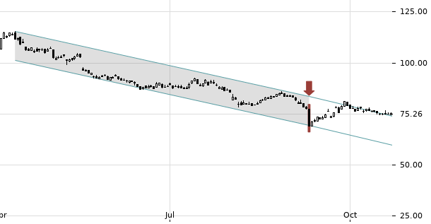 UBS TrendRadar Bild