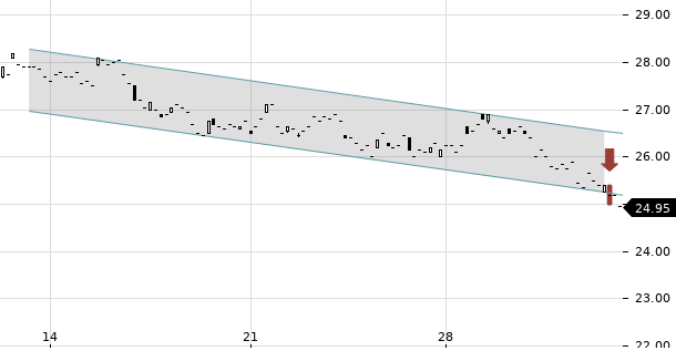 UBS TrendRadar Bild