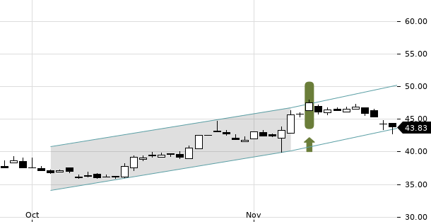 UBS TrendRadar Bild