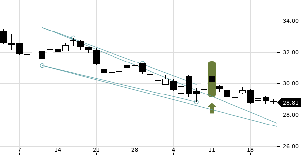 UBS TrendRadar Bild