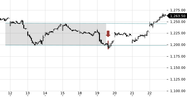 UBS TrendRadar Bild