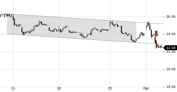 UBS TrendRadar Bild