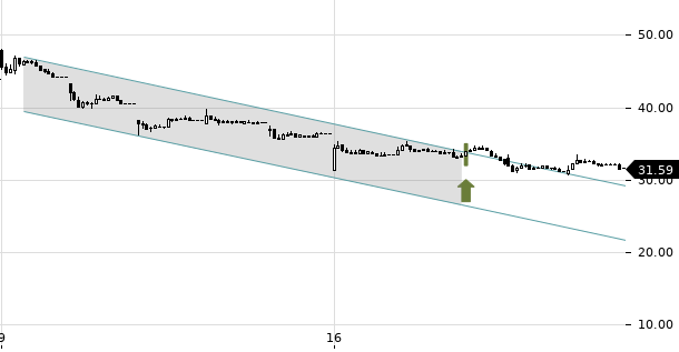 UBS TrendRadar Bild