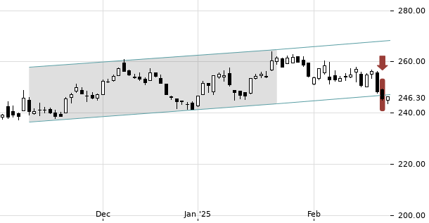 UBS TrendRadar Bild