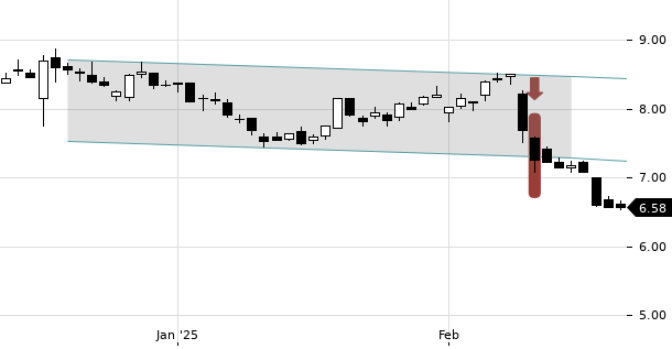 UBS TrendRadar Bild